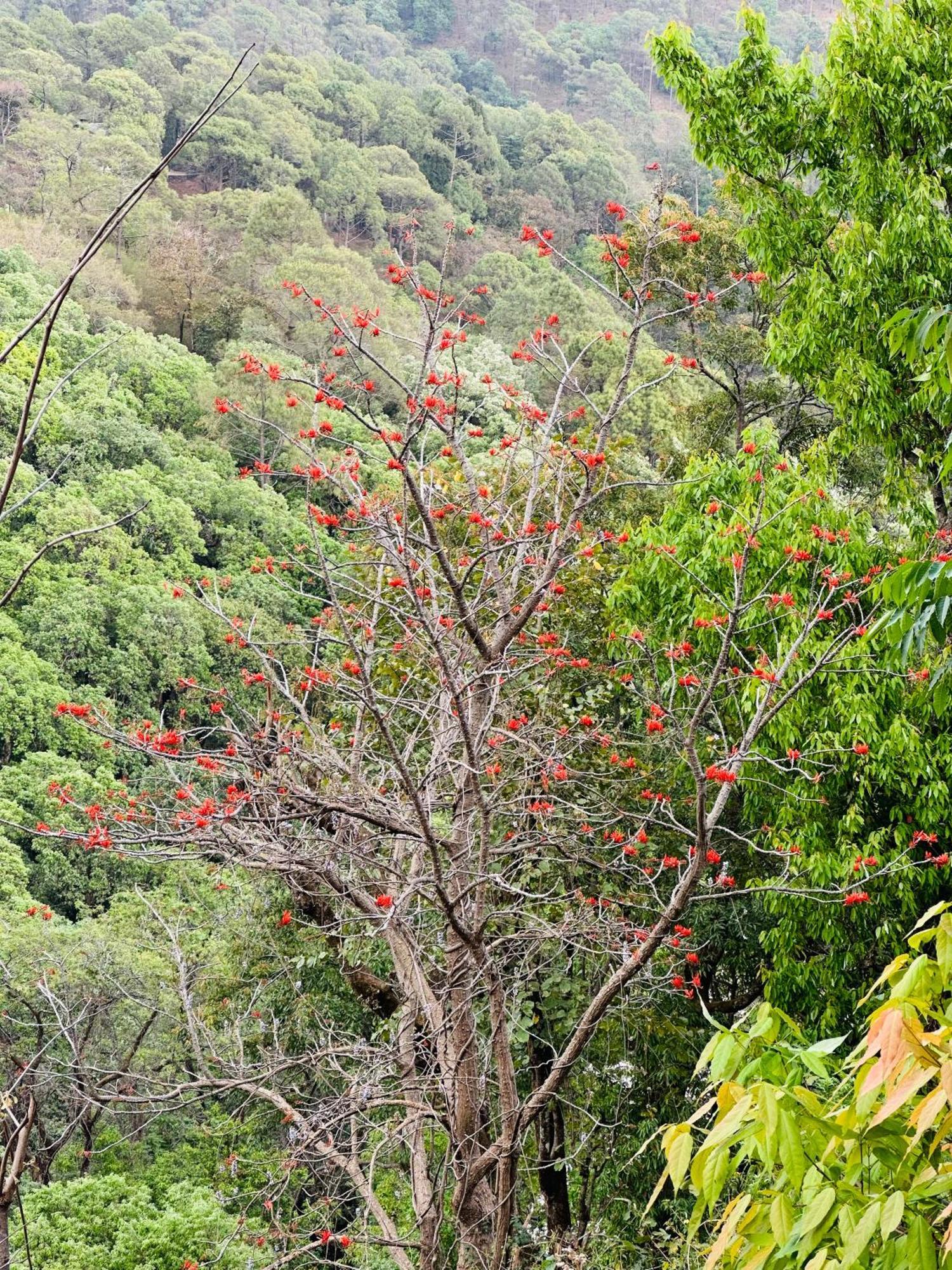 Incredible Birding Camp Apartamento Bhīm Tāl Exterior foto