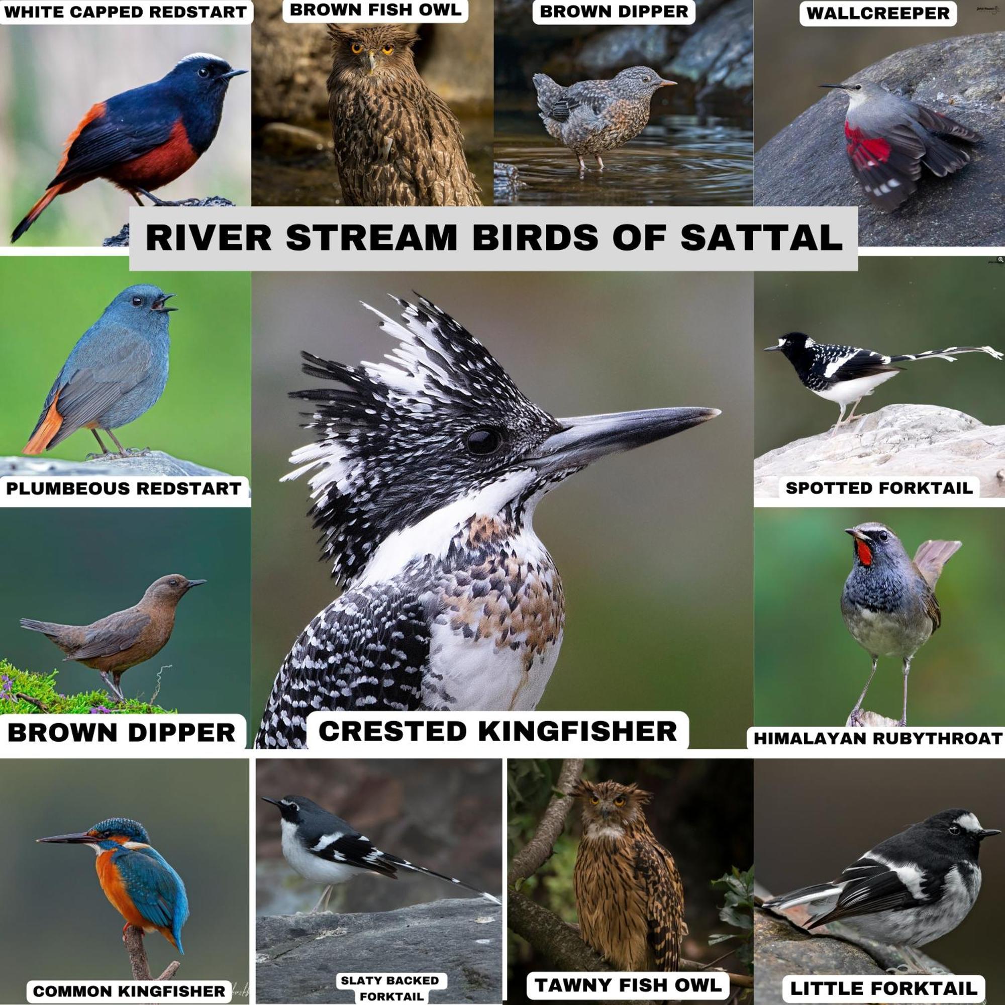 Incredible Birding Camp Apartamento Bhīm Tāl Exterior foto